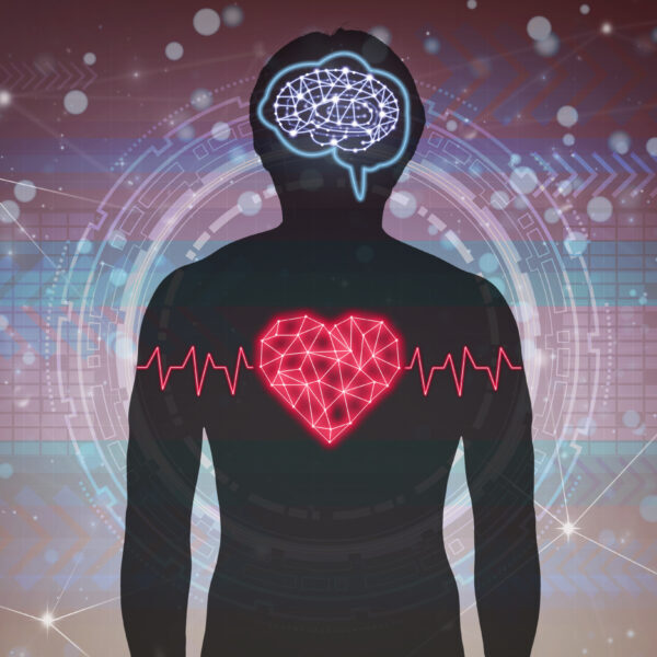 Silhouette of human body with technology line and dot of polygonal shape brain and heart over the Technology connection background, Science healthy and physician education concept
